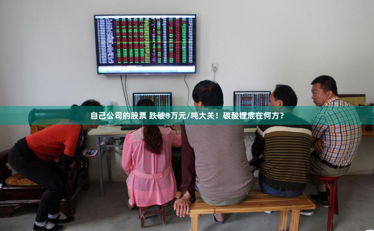 自己公司的股票 跌破8万元/吨大关！碳酸锂底在何方？