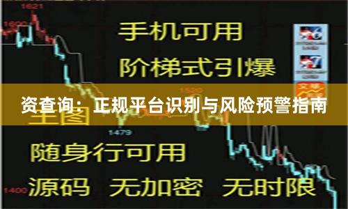 资查询：正规平台识别与风险预警指南